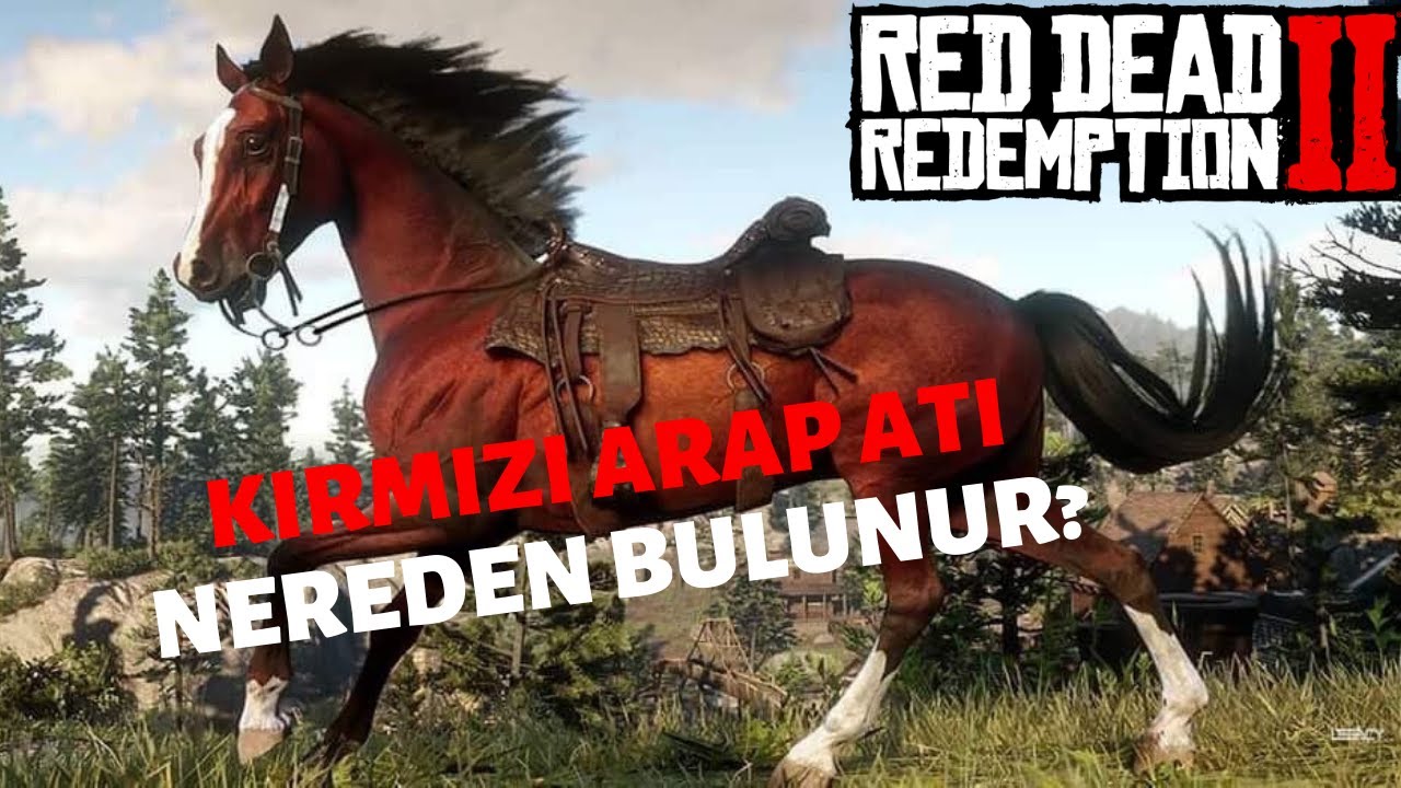 RDR2|  Red Dead Redemption 2 [EFSANE KIRMIZI ARAP ATINI BULDUM OYUNUN EN İYİ VE GİZEMLİ ATI]